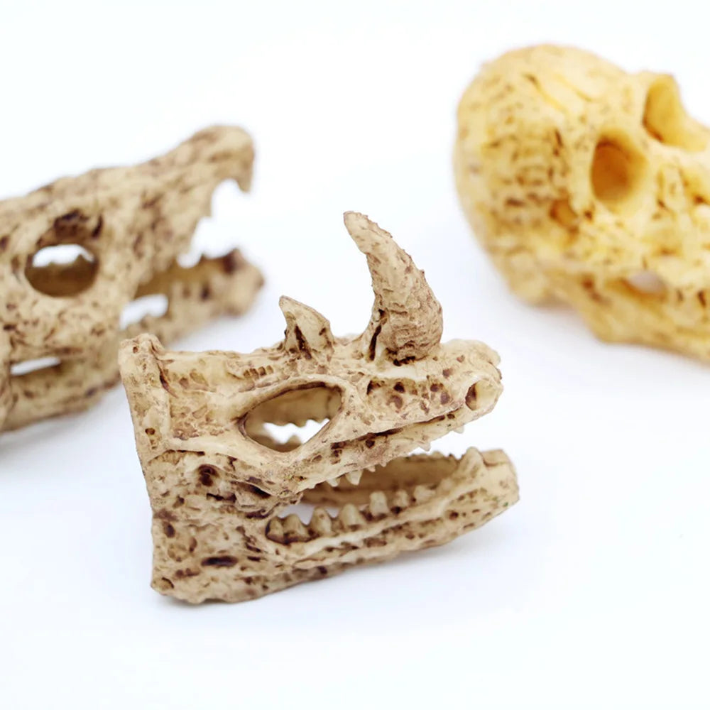 Gothic Punk Mini Animals Skull Model Wall Decor for Miniature Dollhouse DIY Handmade Furniture Desk Home Decor Dolls Accessories